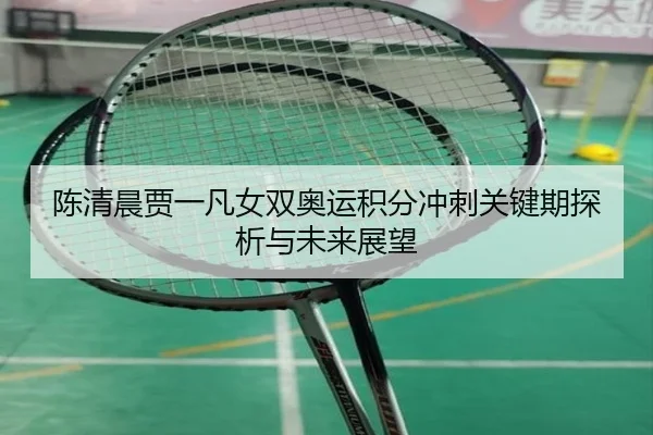陈清晨贾一凡女双奥运积分冲刺关键期探析与未来展望